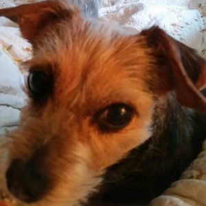 Meet your Posher, Kelli